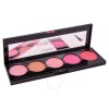 L'Oréal Infallible Paint Blush Palette - 01 The Pinks 10g